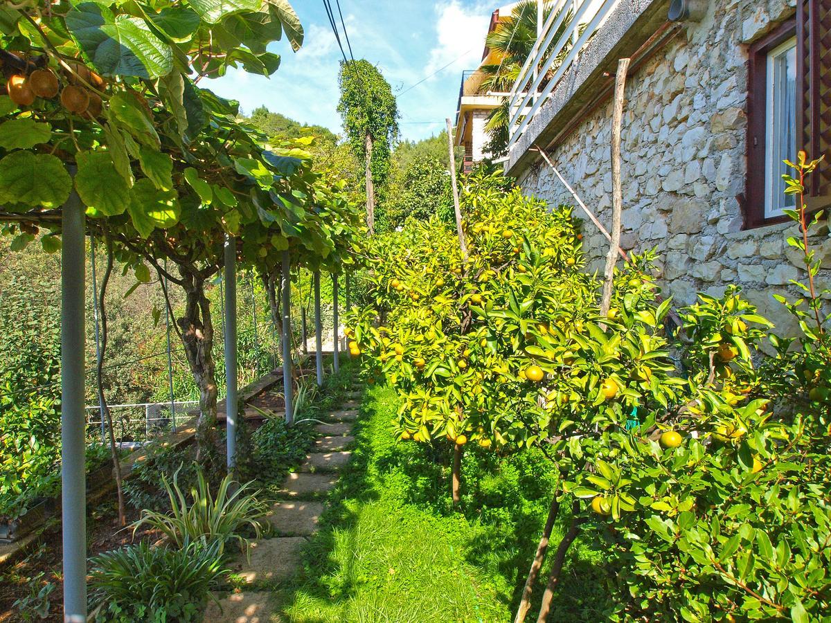 Apartments Boris 154 Rabac Εξωτερικό φωτογραφία