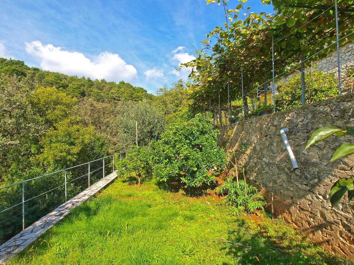 Apartments Boris 154 Rabac Εξωτερικό φωτογραφία